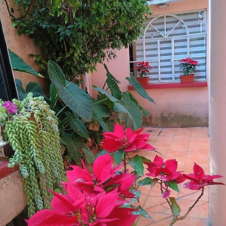 Relax Apartment Mexico City Exterior photo